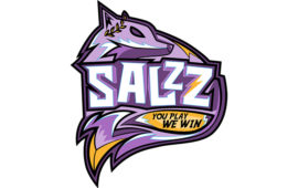 SalzZ и Международные турниры