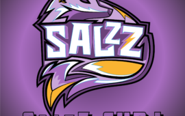 Стартует первый #SalzZCup summer 2020!