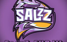 Результаты SalzZ Cup 3