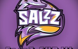SalzZ Cup 3